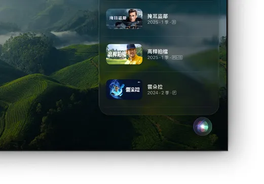 平面電視顯示 Apple TV 電影與電視節目的列表
